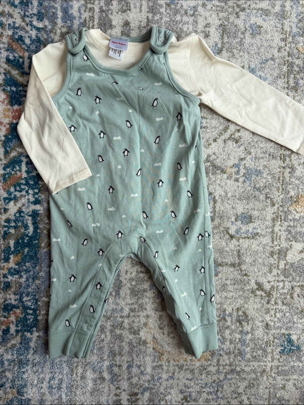 Hanna Andersson Mint Green and Cream Penguin Print One-Piece